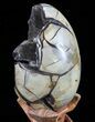Septarian Dragon Egg Geode - Black Crystals #72057-3